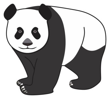 karikatür panda karakter vektörü siyah noktalı beyaz arka plan yüzüne çiziyor logo simgesi simgesi konsepti sevimli mutlu komik poz memeli hayvan yaban hayatı bir bakışta tanıma