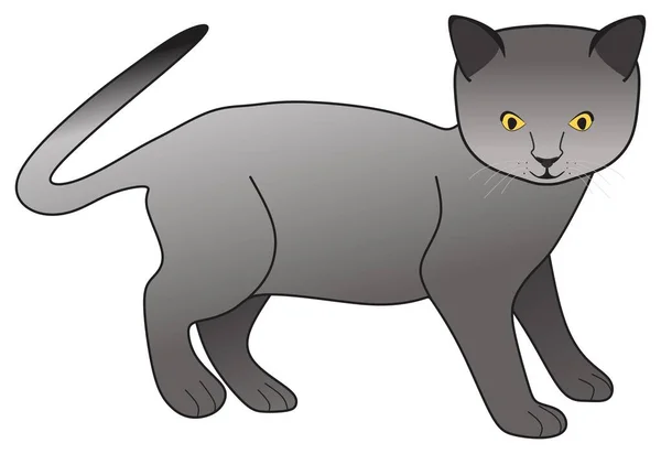 Chaton Gris Shorthair Britannique Chat Vecteur Dessin Sur Fond Blanc — Image vectorielle