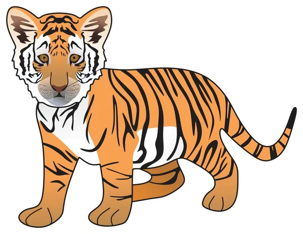 孤立した白い背景の漫画の虎の子ベクトルの描画哺乳動物のポーズキャラクター立って歩く頭の顔のロゴアイコン記号記号オブジェクトのアウトラインイラスト野生動物ジャングルのコンセプト — ストックベクタ