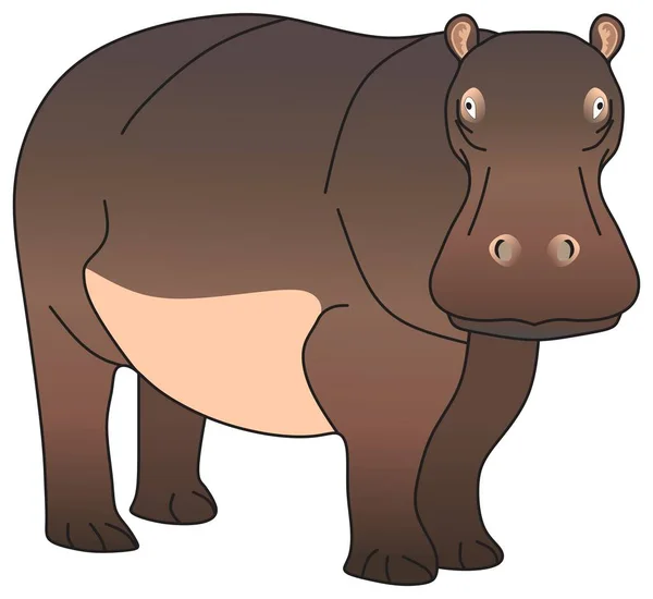 Hippopotamus Amphibious Vector Drawing Isolated White Background Mammal Herbivorous Animal — ストックベクタ