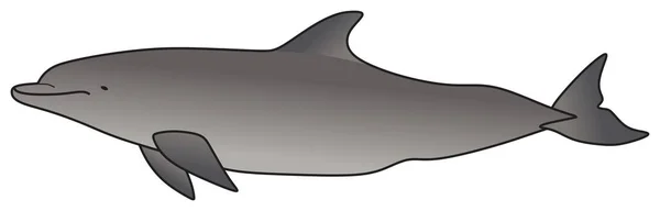 Delfín Vector Dibujo Sobre Fondo Aislado Natación Agua Del Océano — Vector de stock
