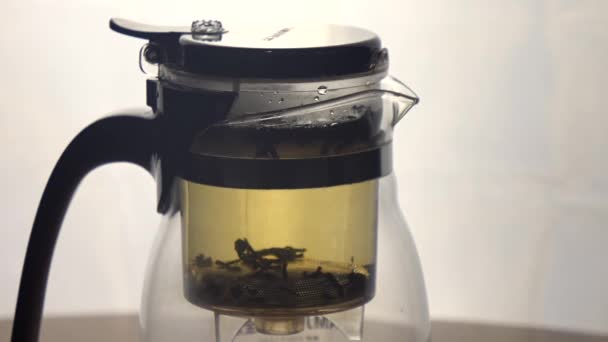 Processo de fabricação de chá preto em panela de chá de vidro transparente — Vídeo de Stock