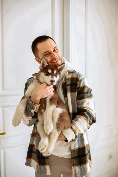 Ekose gömlekli, siyah saçlı, genç, beyaz bir adam Sibirya köpekleri ile oynuyor. Beyaz bir odada köpek yavrusu tutan adam.