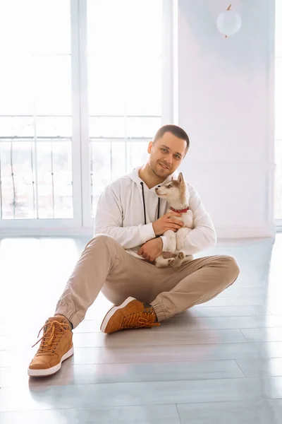 Siyah saçlı, beyaz kazaklı çekici bir adam Sibirya köpekleri ile oynuyor. Beyaz bir odada köpek yavrusu tutan adam yerde oturuyor..