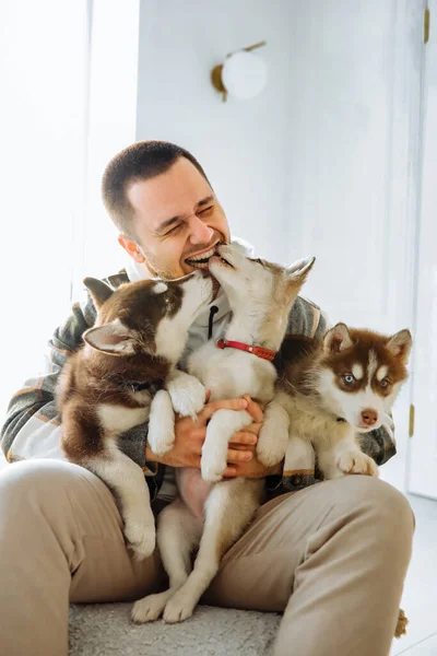 Yavruları beslemek için ağzında sosis tutan bir adam. Avrupalı bir adam kollarında bir sürü boğuk köpek yavrusu tutuyor ve suni teneffüs yapıyor. Yavrularla dolu ev atmosferi