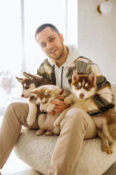Avrupalı bir adam kucağında bir sürü köpek yavrusu tutuyor. Ev atmosferi köpek yavrularıyla oynuyor. Yavru köpekler sahiplerinin kollarında oynaşıyorlar. Wiith Husky yumuşak beyaz bir sandalyede oturuyor. yakın plan