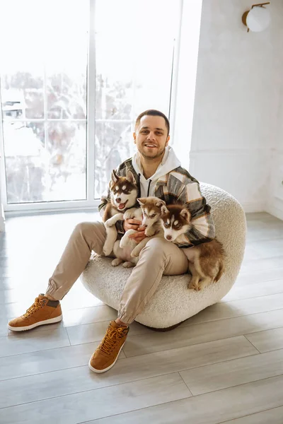 Avrupalı bir adam kucağında bir sürü köpek yavrusu tutuyor. Ev atmosferi köpek yavrularıyla oynuyor. Yavru köpekler sahiplerinin kollarında oynaşıyorlar. Wiith Husky yumuşak beyaz bir sandalyede oturuyor. yakın plan