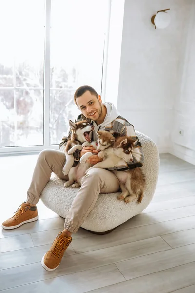 Avrupalı bir adam kucağında bir sürü köpek yavrusu tutuyor. Ev atmosferi köpek yavrularıyla oynuyor. Yavru köpekler sahiplerinin kollarında oynaşıyorlar. Wiith Husky yumuşak beyaz bir sandalyede oturuyor.