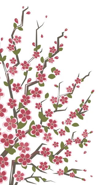 Филиал Сакура. Цветочный фон . — стоковый вектор