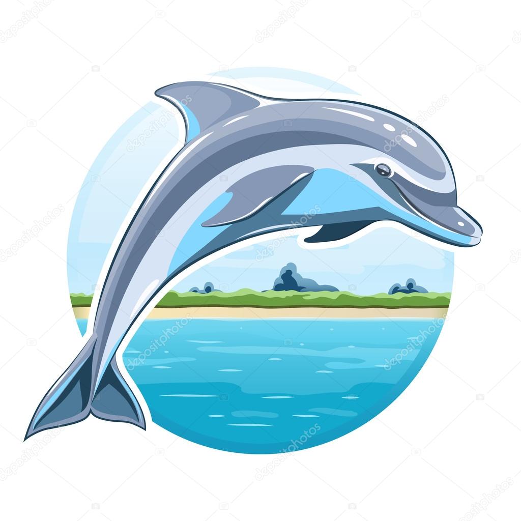 Dolphin on sea background