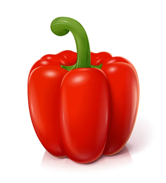 Красный сладкий перец. Натуральный овощ. Векторная иллюстрация. — стоковый вектор