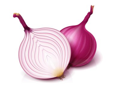Kırmızı ve yarım soğan. Faydalı bir sebze. Vektör.