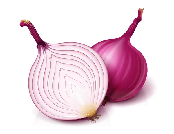 Red whole and half of onion. Useful vegetable. Vector. — Stock Vector