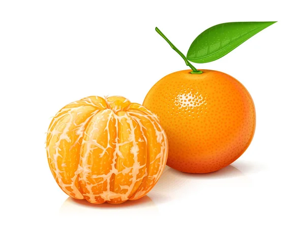 Mandarin. Tangerine. Fruits frais, sucrés et mûrs. Vecteur. — Image vectorielle