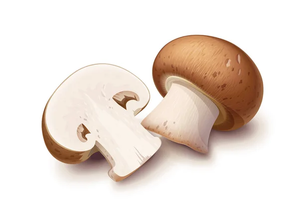 Champignon. Whole and half mushroom. Vector illustration. — стоковый вектор