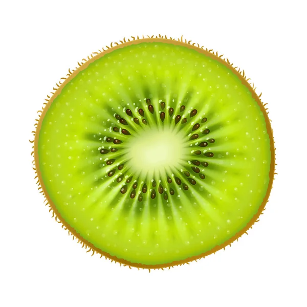 Kiwi Fruit Juteux Mûr Exotique Isolé Sur Fond Blanc Illustration — Image vectorielle