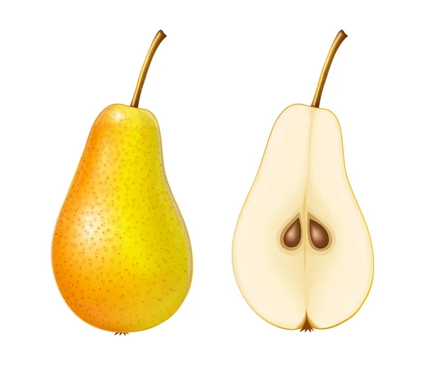 Pear. Ripe, juicy fruit. Vector illustration. — ストックベクタ