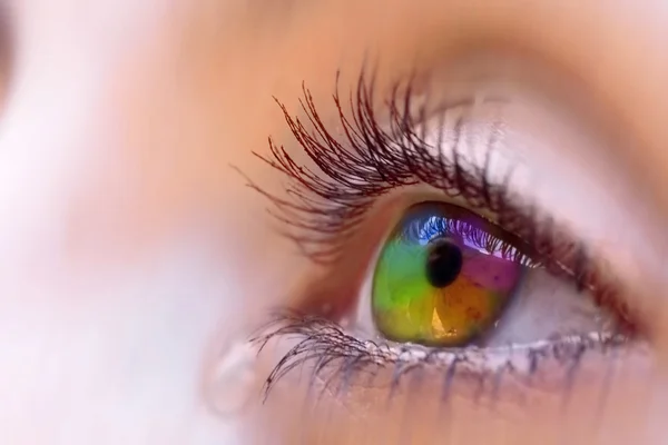 Rainbow vision — Stock Photo, Image