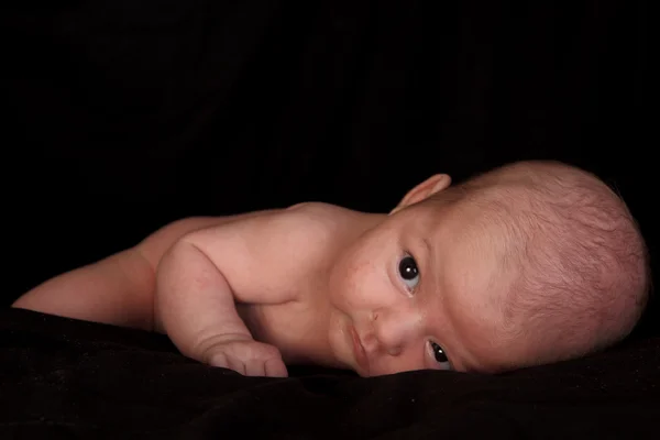 Newborn 1 month on a black background — Stock Photo, Image