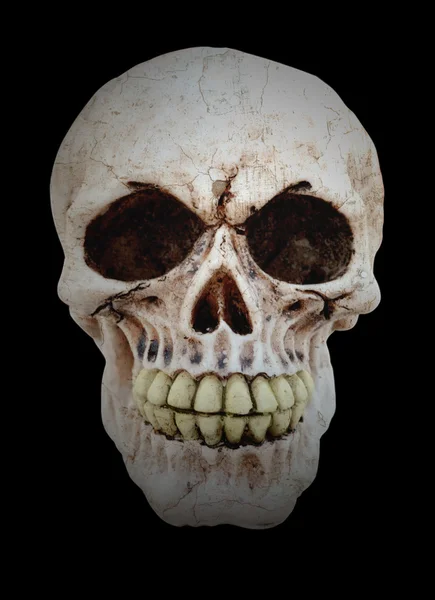 Cráneo humano aislado en negro — Foto de Stock