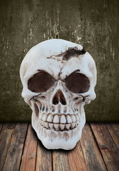 Insan kafatası — Stok fotoğraf