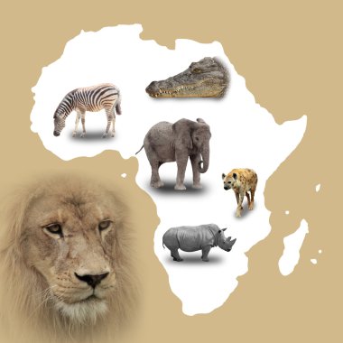 Afrika Haritası