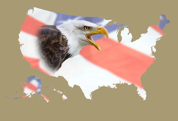 Mapa de EEUU, águia, bandeira — Fotografia de Stock