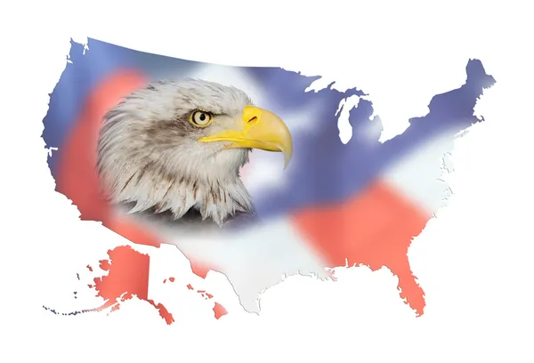 Mapa dos eua, bandeira e águia careca — Fotografia de Stock