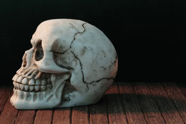 人間の頭蓋骨 — ストック写真