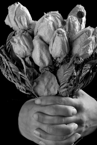 Hands dirty and dried roses — Stock Photo, Image