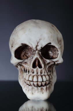 human skull clipart
