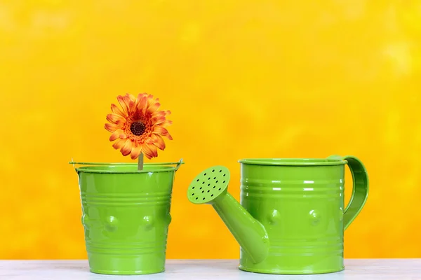 Gießkanne und Blumen — Stockfoto