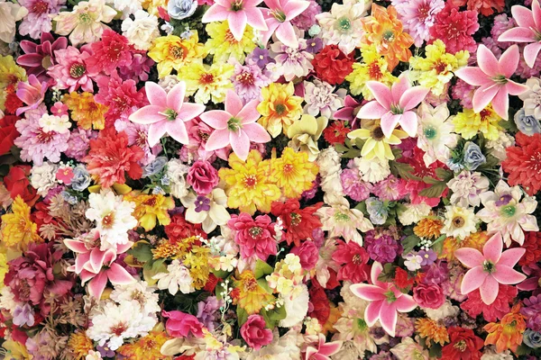 Lot of flowers — Stock Photo, Image