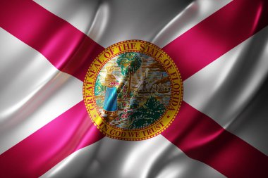 Detaylı ve desenli Florida ABD bayrağının 3D çizimi