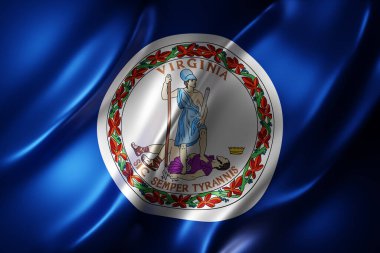 Detaylı ve desenli Virginia ABD bayrağının 3D çizimi