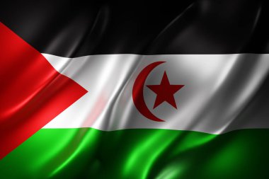 3D dokulu bir Sahra Arap Demokratik Cumhuriyeti bayrağı.