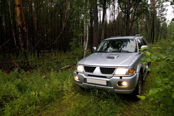 Auto im Wald — Stockfoto