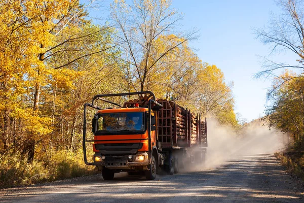 Orangefarbener Holztransporter Transportiert Herbst Holz Auf Forststraße — Stockfoto