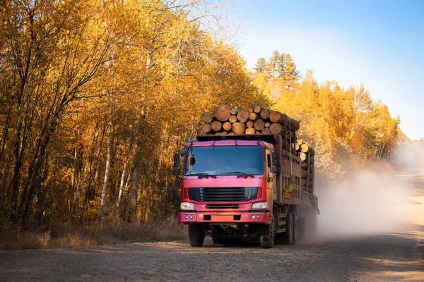 Camión Maderero Rojo Carretera Forestal Otoño — Foto de Stock