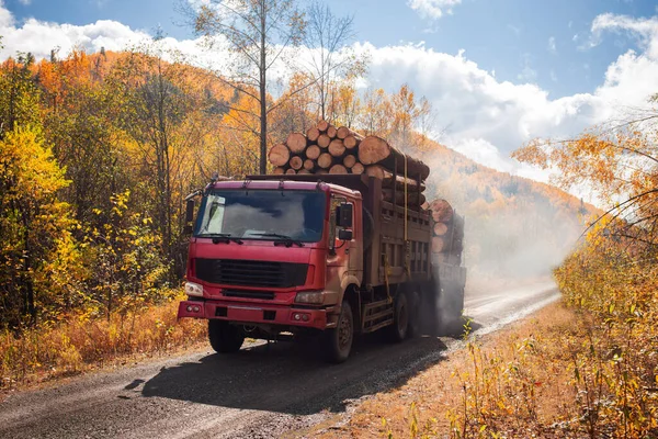 Camión Maderero Rojo Carretera Forestal Otoño — Foto de Stock