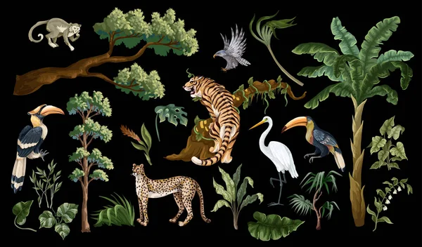 ジャングルの鳥や動物が孤立。ベクトル室内｜print. — ストックベクタ