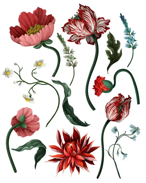 Botanical victorian flowers and bugs isolated. Tulip, peony and other. — стоковий вектор
