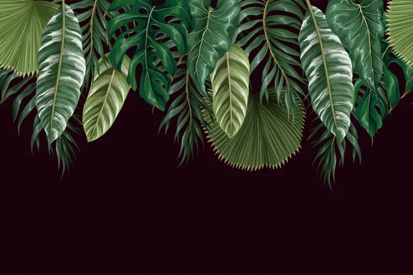 Border with tropical leaves such as monstera, palm leaf and other. Vector — Vector de stock