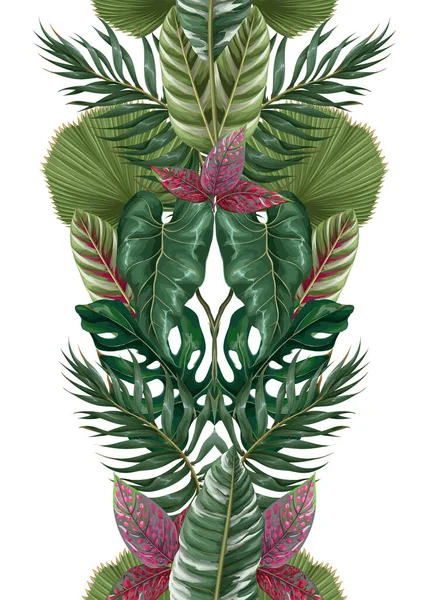 Okraj s tropickými listy, jako je monstera, palmový list a další. Vektor. — Stockový vektor