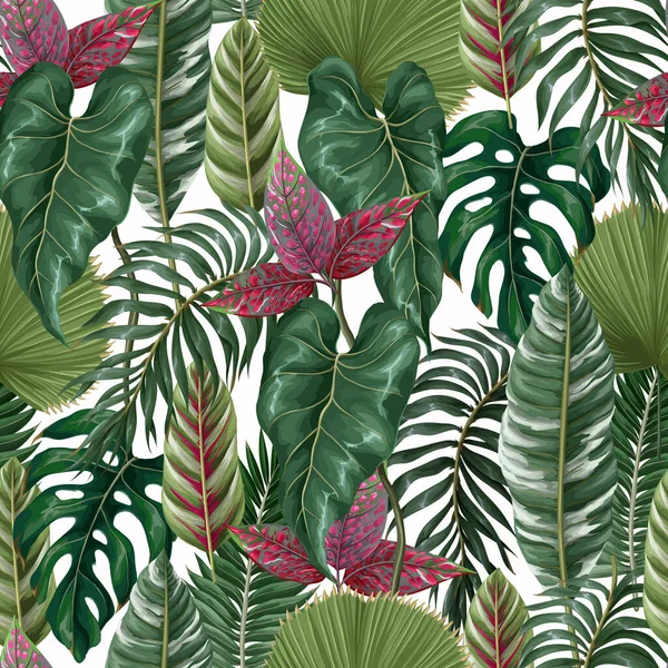 Modèle sans couture avec des feuilles tropicales telles que la feuille de palmier, la monstère et autres.Vecteur. — Image vectorielle