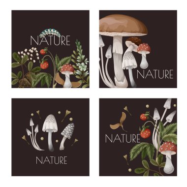 Autumn cards with mushrooms, berries and bugs. Natural trendy print