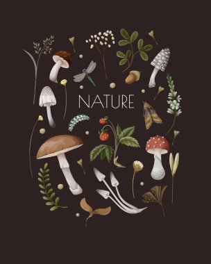 Autumn card with mushrooms, berries and bugs. Natural trendy print.