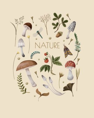 Autumn card with mushrooms, berries and bugs. Natural trendy print