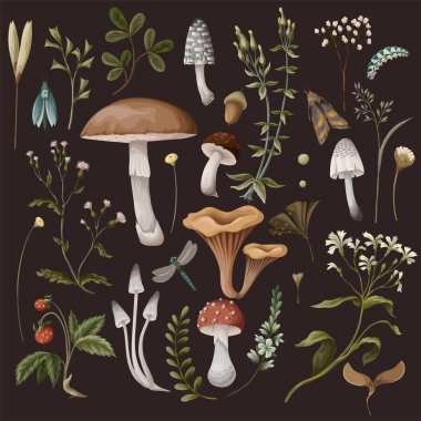 Autumn elements such as mushrooms, berries and bugs isolated. Natural trendy print