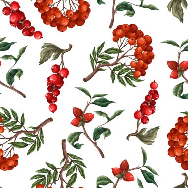 Seamless pattern with berries, such as rowan, blueberries and other. Vector